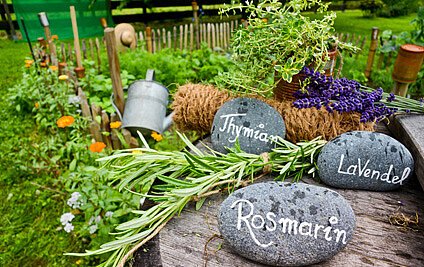 Heilmittel aus dem Garten Kräutergarten, Steinen mit Kräuternamen