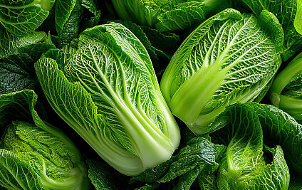 Chinakohl-Tofu-"Rouladen"